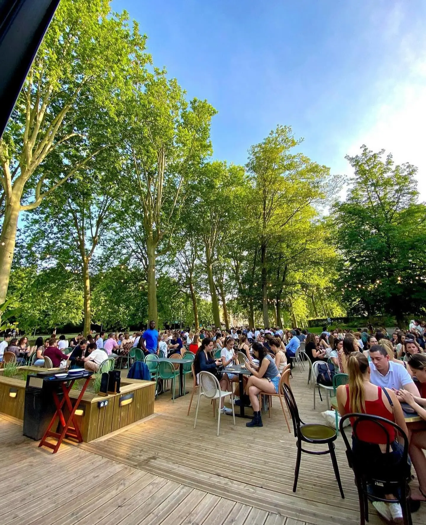 Photo de la terrasse de l'Oasis